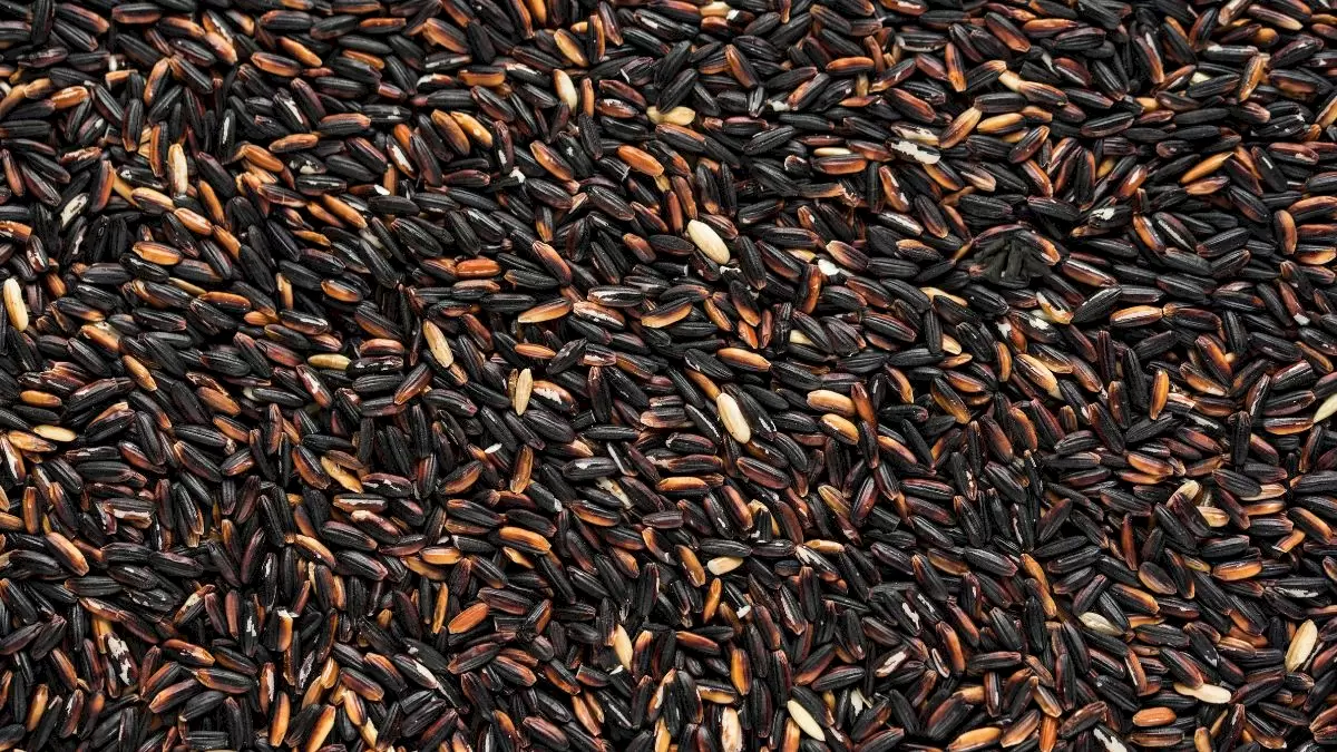 Prueba Ocular de Ilusión Óptica: ¿Puedes encontrar un carbón oculto entre los granos en 15 segundos